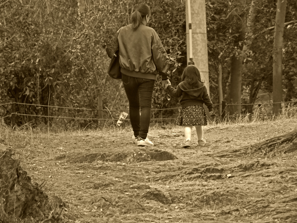 セピア色の思い出　P1110198