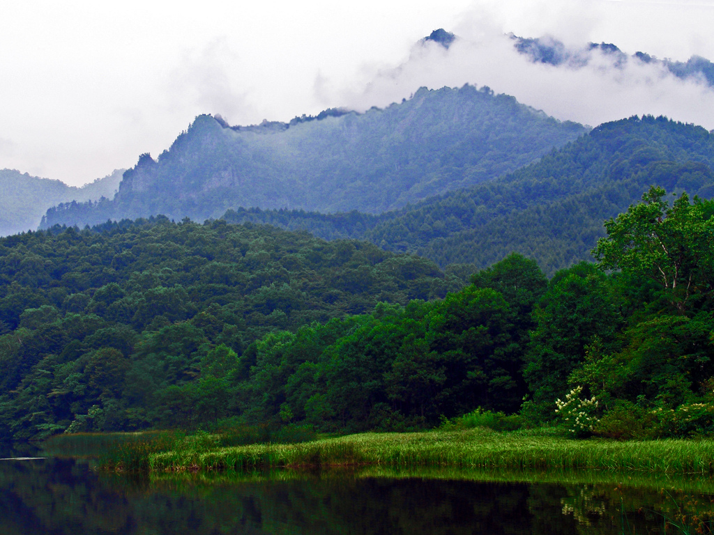 雨上がりの午後　DSC04599zz