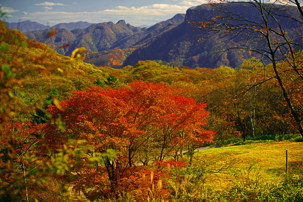 内山牧場の秋　IMGP0279zz