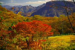 内山牧場の秋　IMGP0279zz