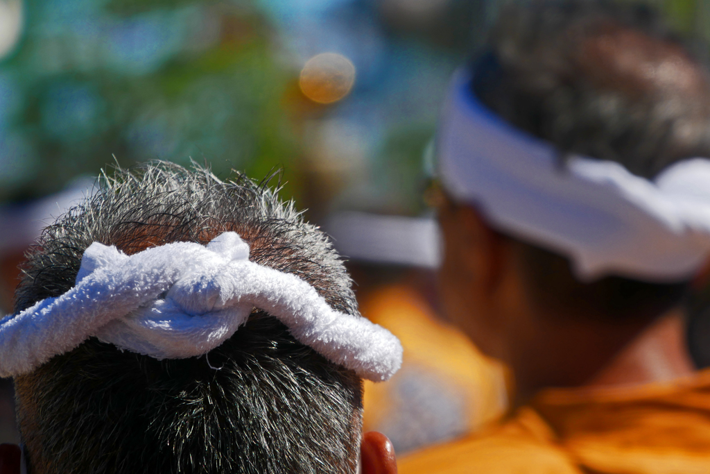 捻じり鉢巻キリリと締めて　P1240758zz