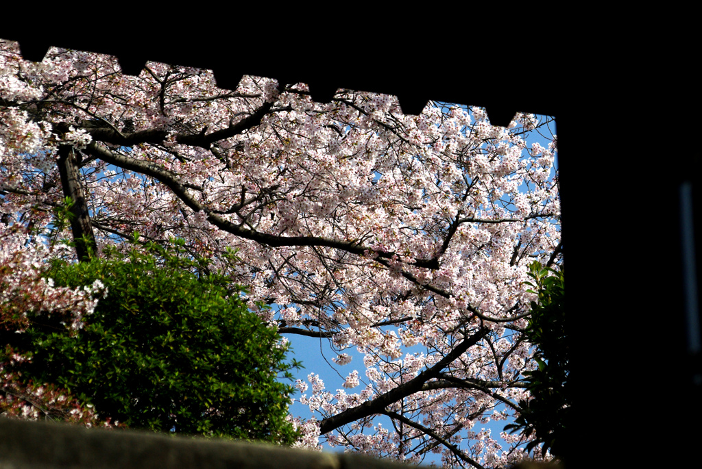 城門の中　IMGP8822zz