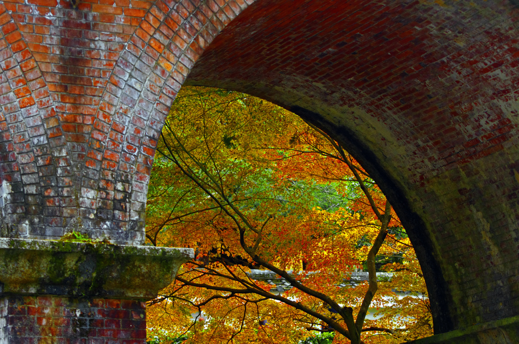 紅の水路閣　IMG2361zz