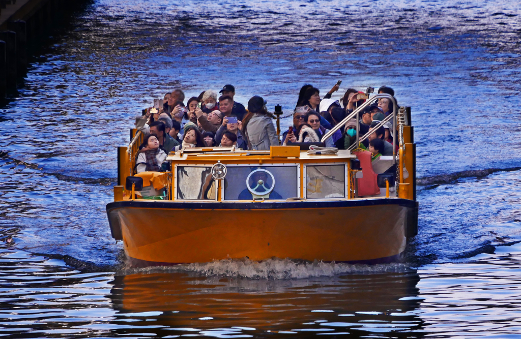 VIVA！OSAKA   P1300287zz