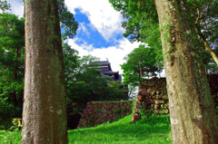 裏 松江城　IMGP5396zz