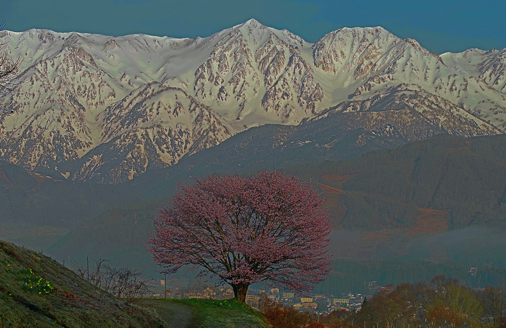 明け遣らぬ山　IMGP3145zz