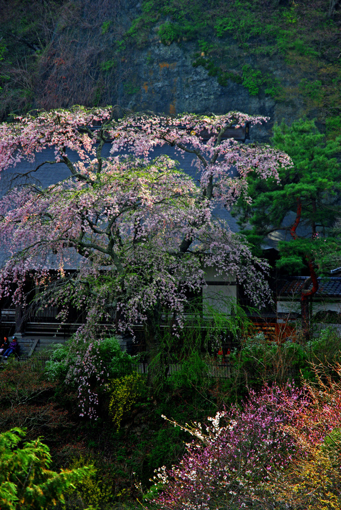 布引山点景　IMGP1353zz