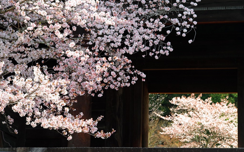 二つの額縁　IMGP4758