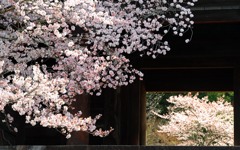 二つの額縁　IMGP4758