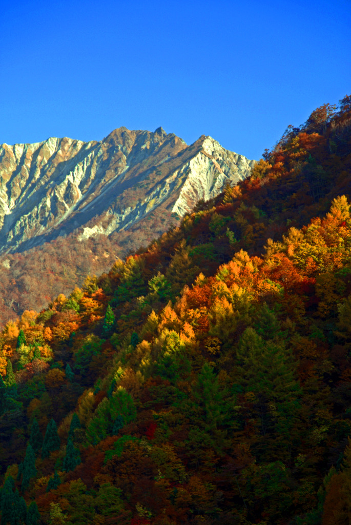 翳りの山　IMGP2723z