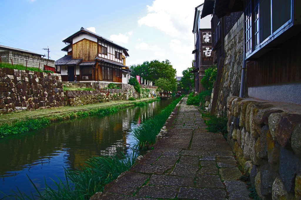 堀川端　IMGP5936zz