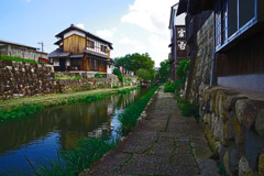 堀川端　IMGP5936zz
