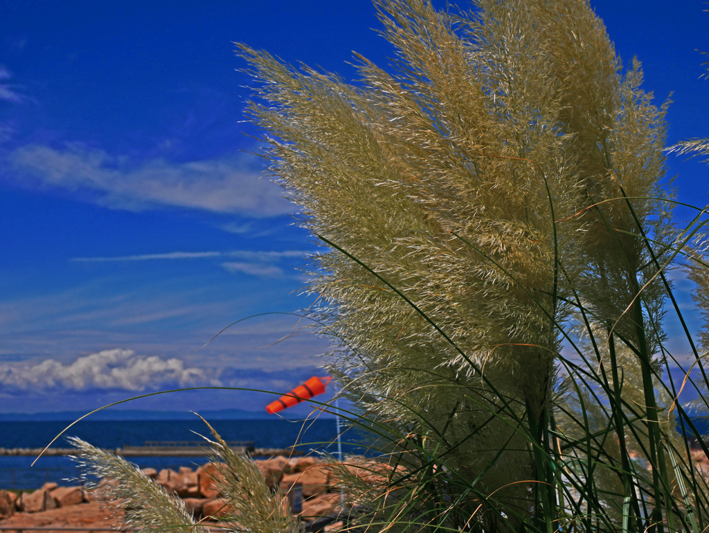 だんだん風が強くなる　P1670328zz