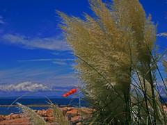 だんだん風が強くなる　P1670328zz