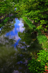 沈む舟　IMGP5976zz