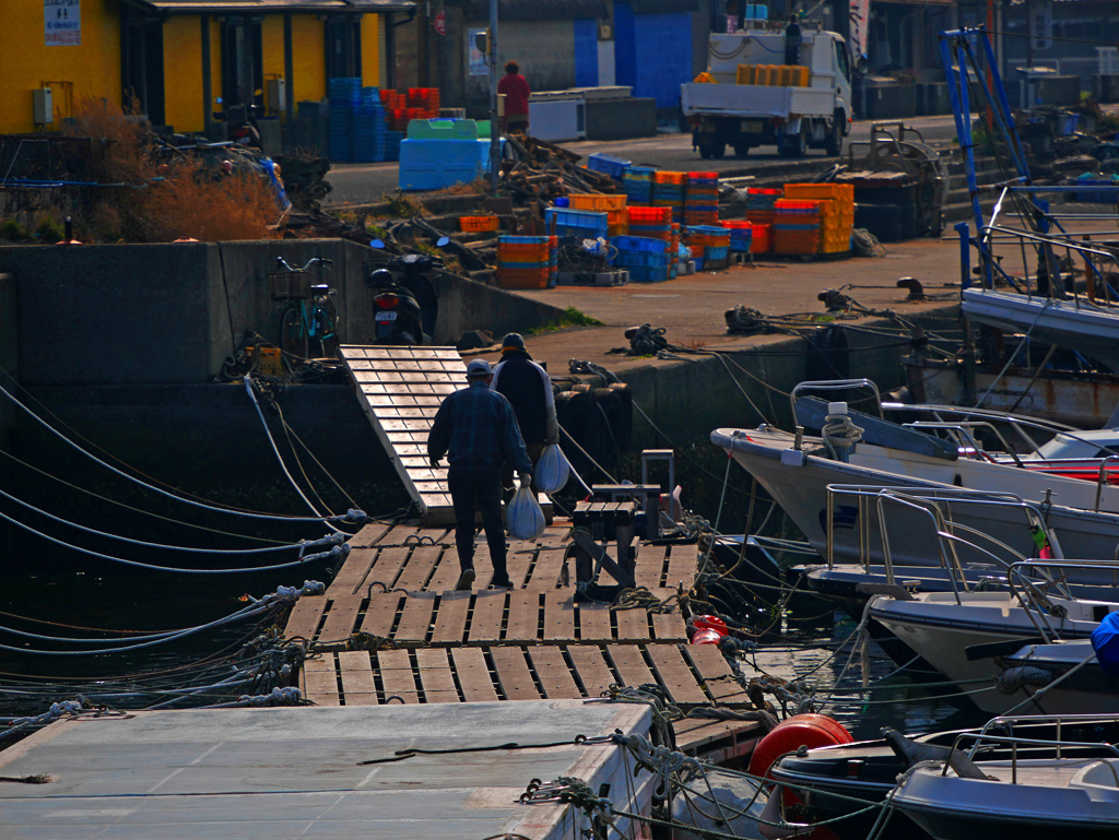 漁の成果　P1100037zz