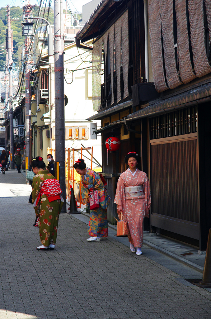 花街の日常　IMGP4664zz