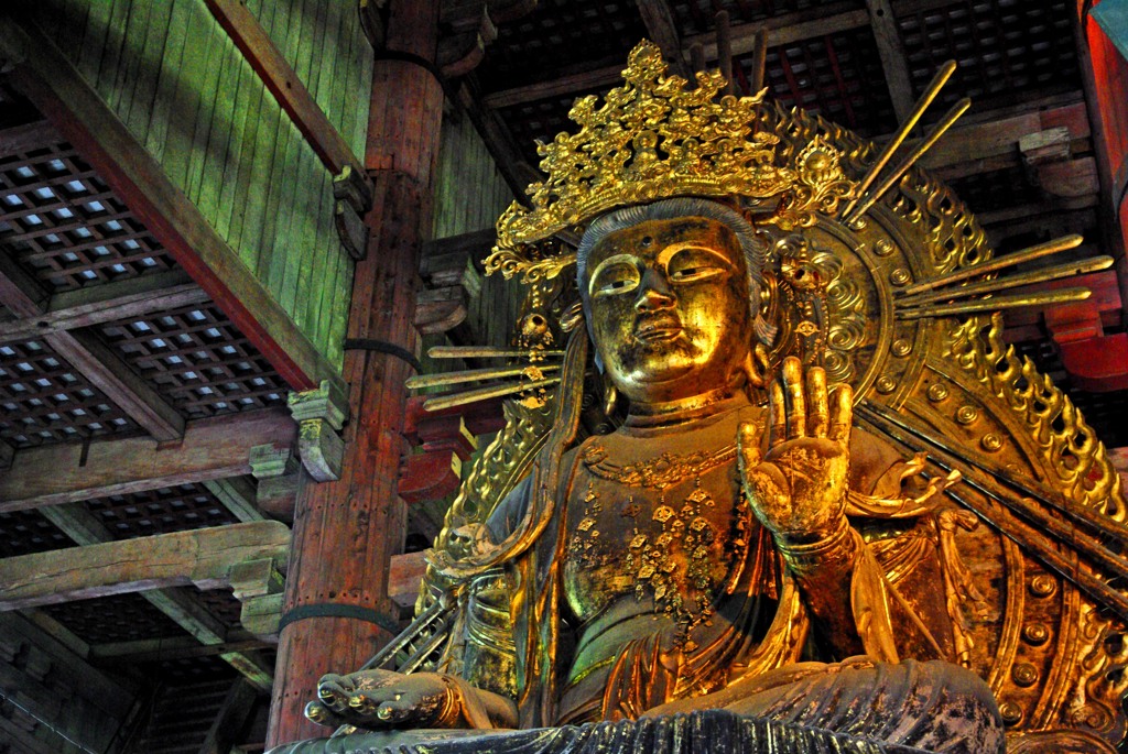 慈悲の眼差し　IMGP4187zz