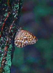 夏の終わりに　P1690031zz