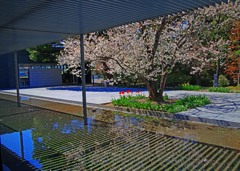 エントランスホール　IMGP0478zz