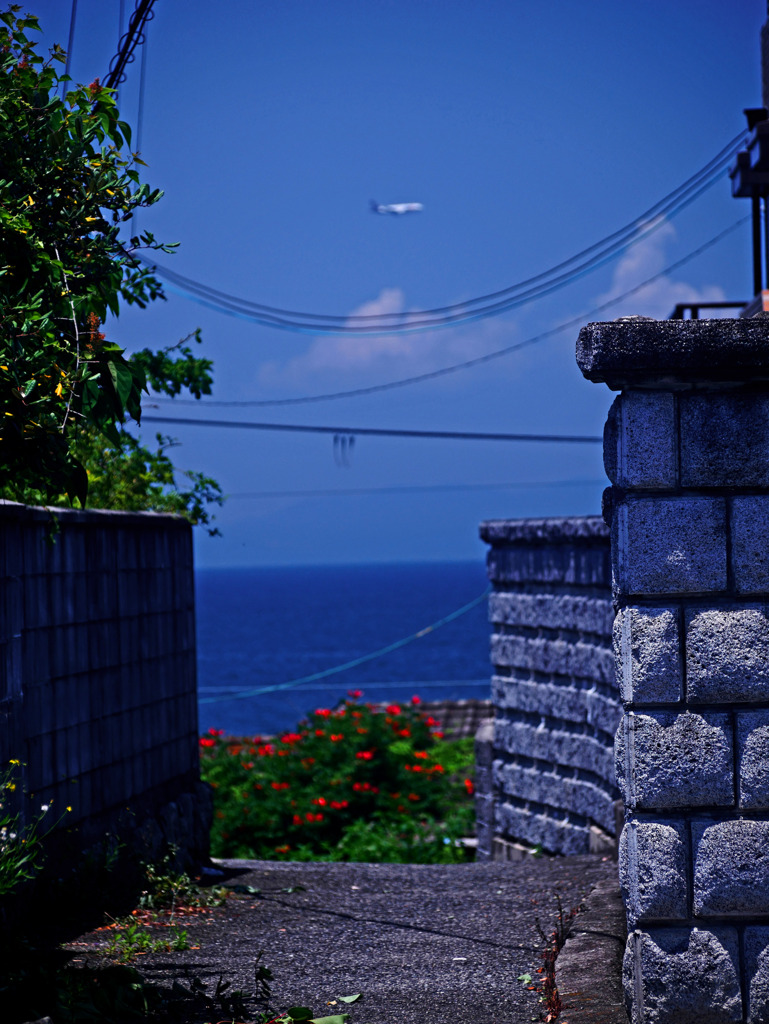 海辺の昼下がり　P1310611zz