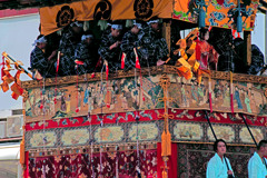 前掛 胴掛 囃子方　IMGP5526zz