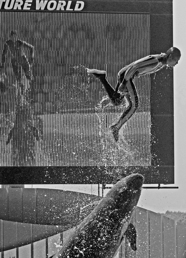 空中浮遊　IGP6569zz