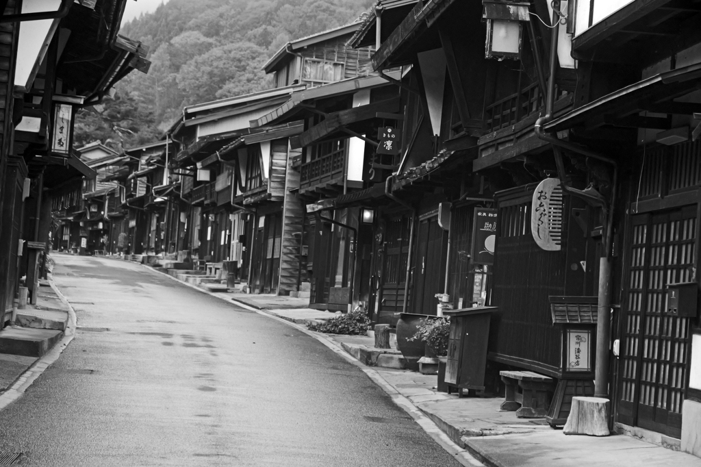 雨上がりの朝Ⅲ　P1057547zz