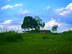 二脚のベンチのある風景　P1590015zz