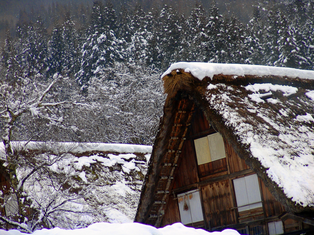 厳冬期の白川郷　DSC01768zz