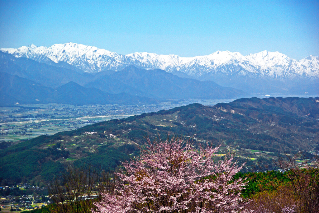 安曇野春景　IMGP3896zz