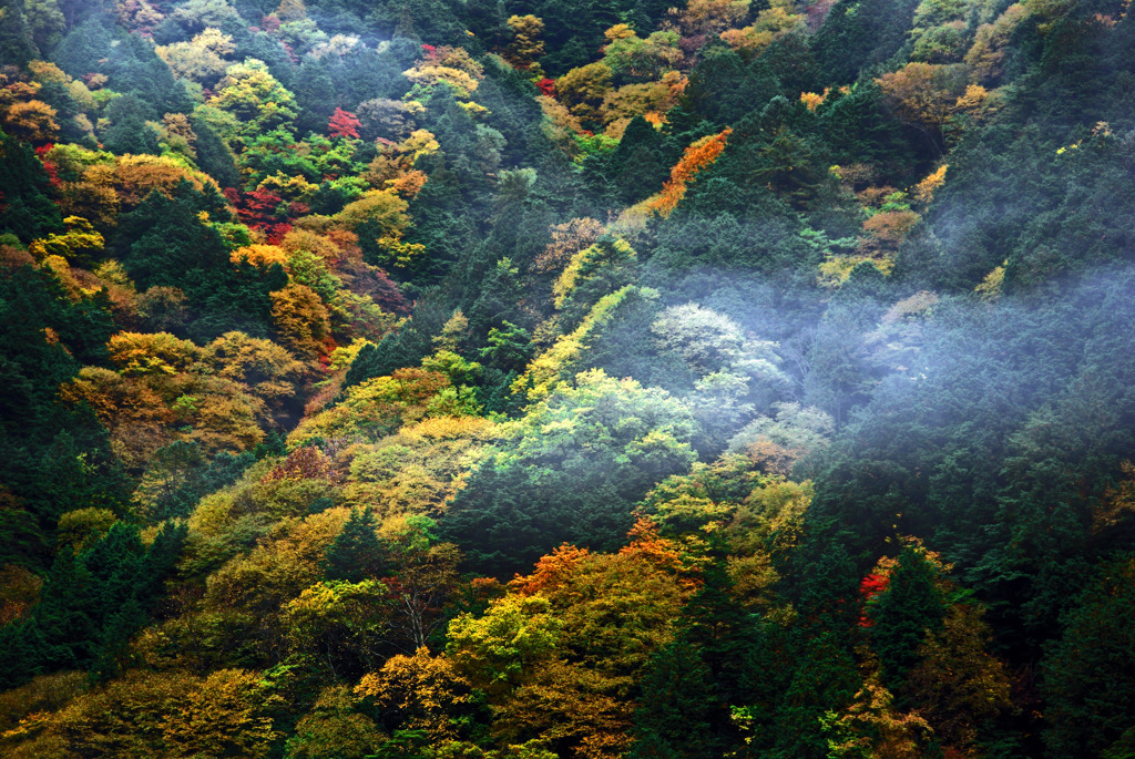 霞引く 　IMGP8839zz