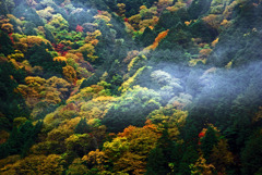 霞引く 　IMGP8839zz