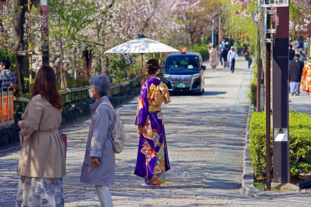 祇園白川 朝の賑わい　IMGP4684zz