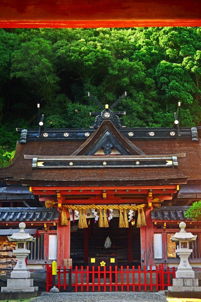 紀州の天神さん　P1210826zz