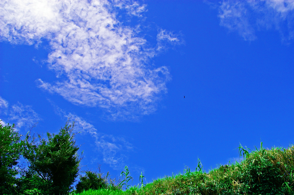 この蒼い空に吸い込まれそう　IMGP0738zz