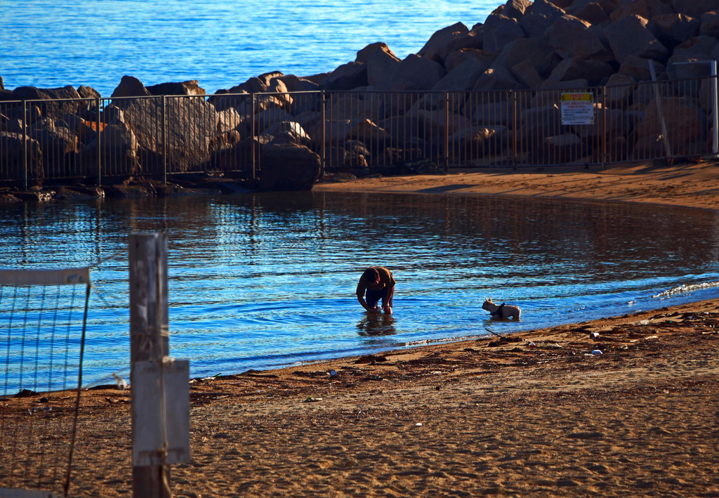 朝の海辺 愛犬との戯れ　P1610118zz