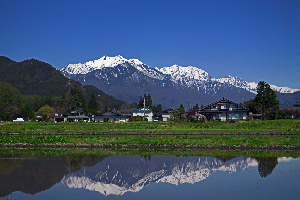 早春の水鏡　P1074946zz