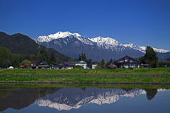 早春の水鏡　P1074946zz