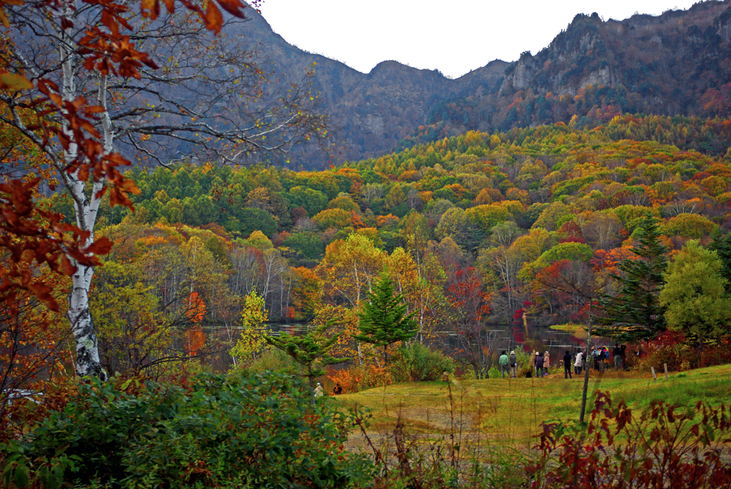 色とりどりに　IMGP5868
