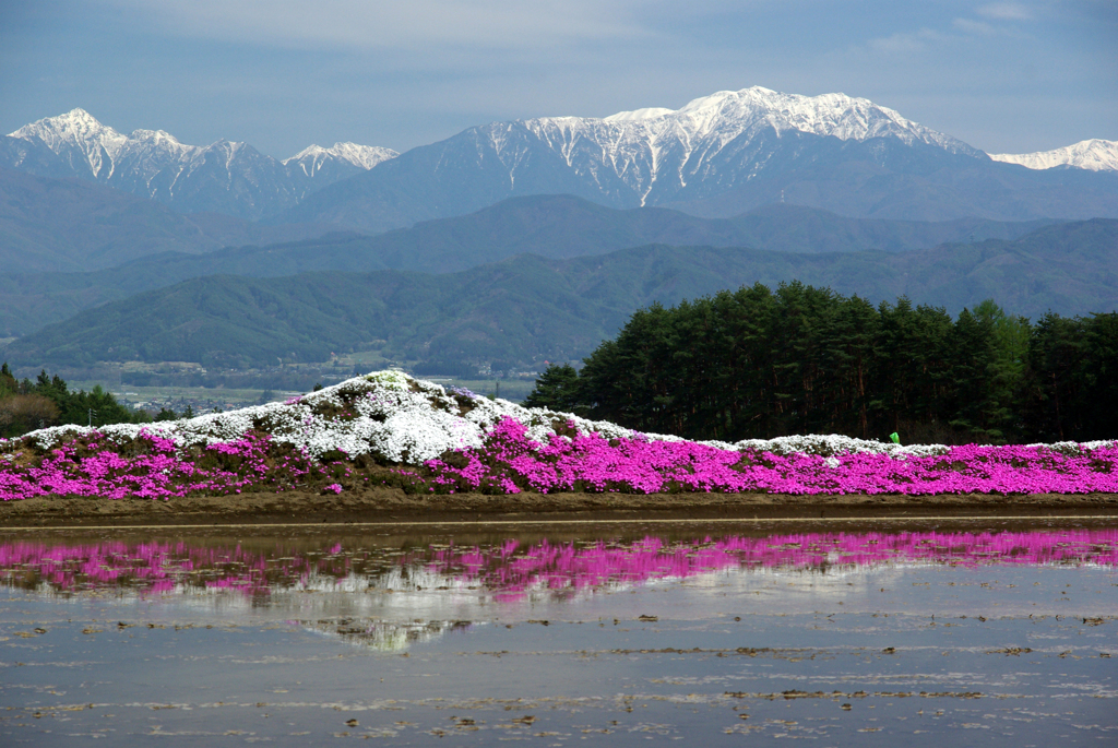残雪の山を望む　IMGP5376z