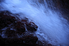 迸り（とばしり）　IMGP9955zz