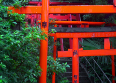 重なる鳥居　P1010090ZZ