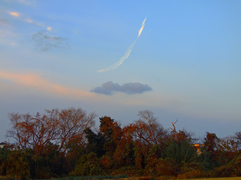 今朝の空　P1180900zz