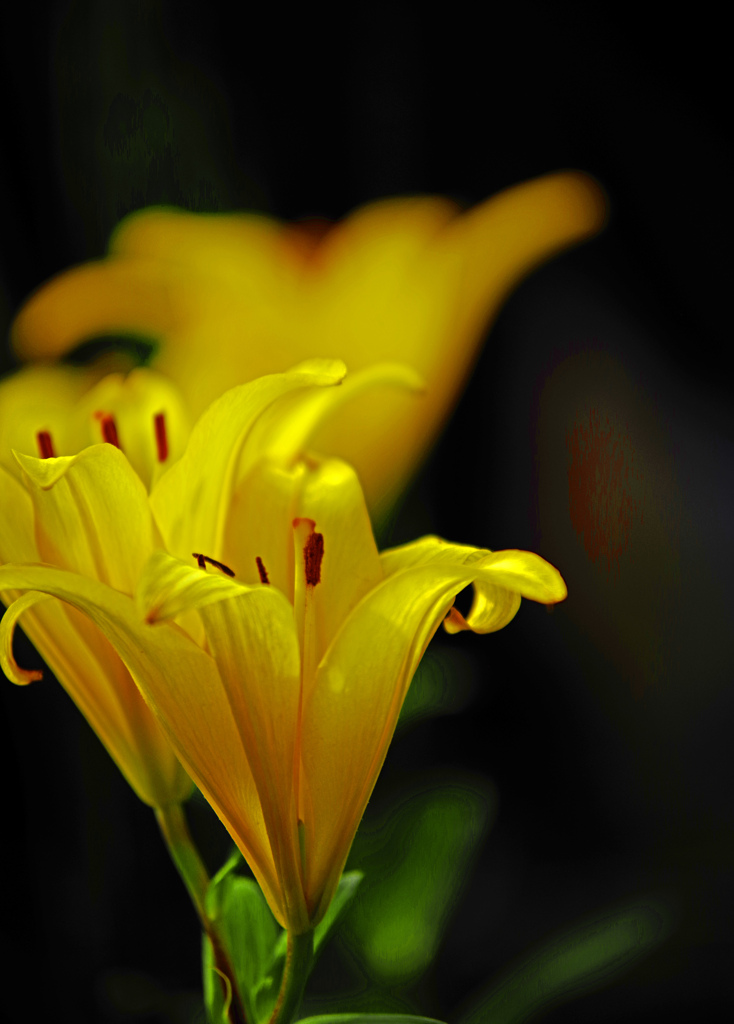 今日は晴れるかな　IMGP2663zz