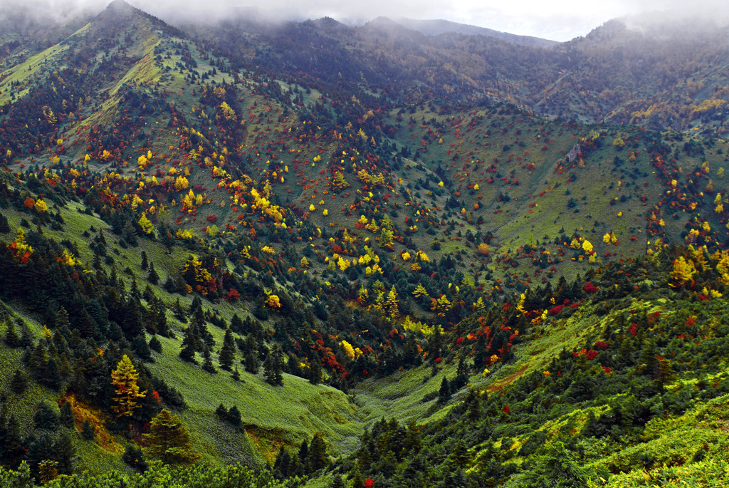 色とりどりに　IGP9699zz