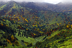 色とりどりに　IGP9699zz