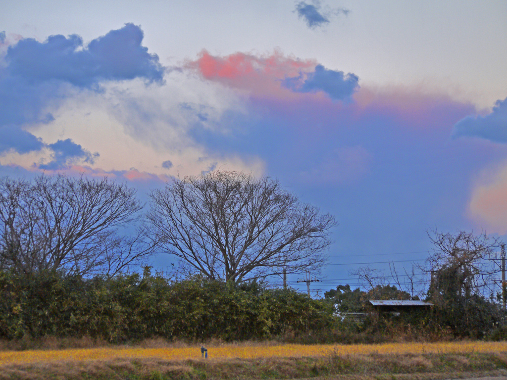 里山 冬空　P1190149zz