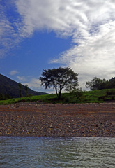 熊野川 川岸の景　IGP2199zz