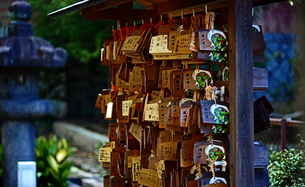 願いの数　IMGP0121zz